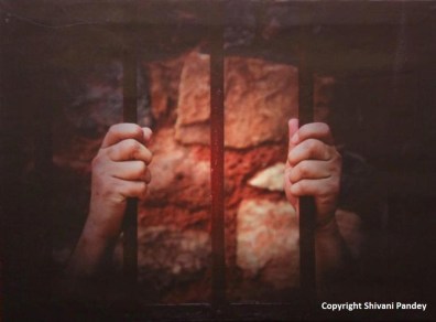 ????????????????????????????????????