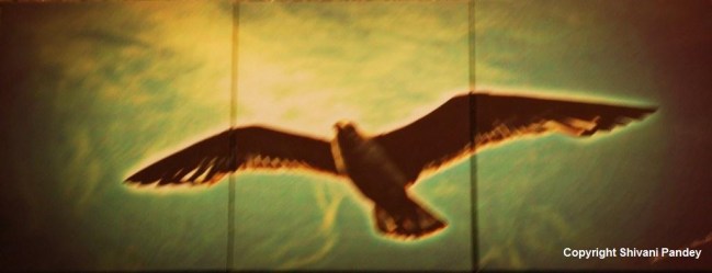 High, High like an Eagle...