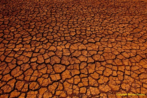 Parched land