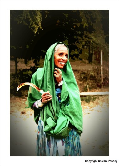 The Sickle and the Dream