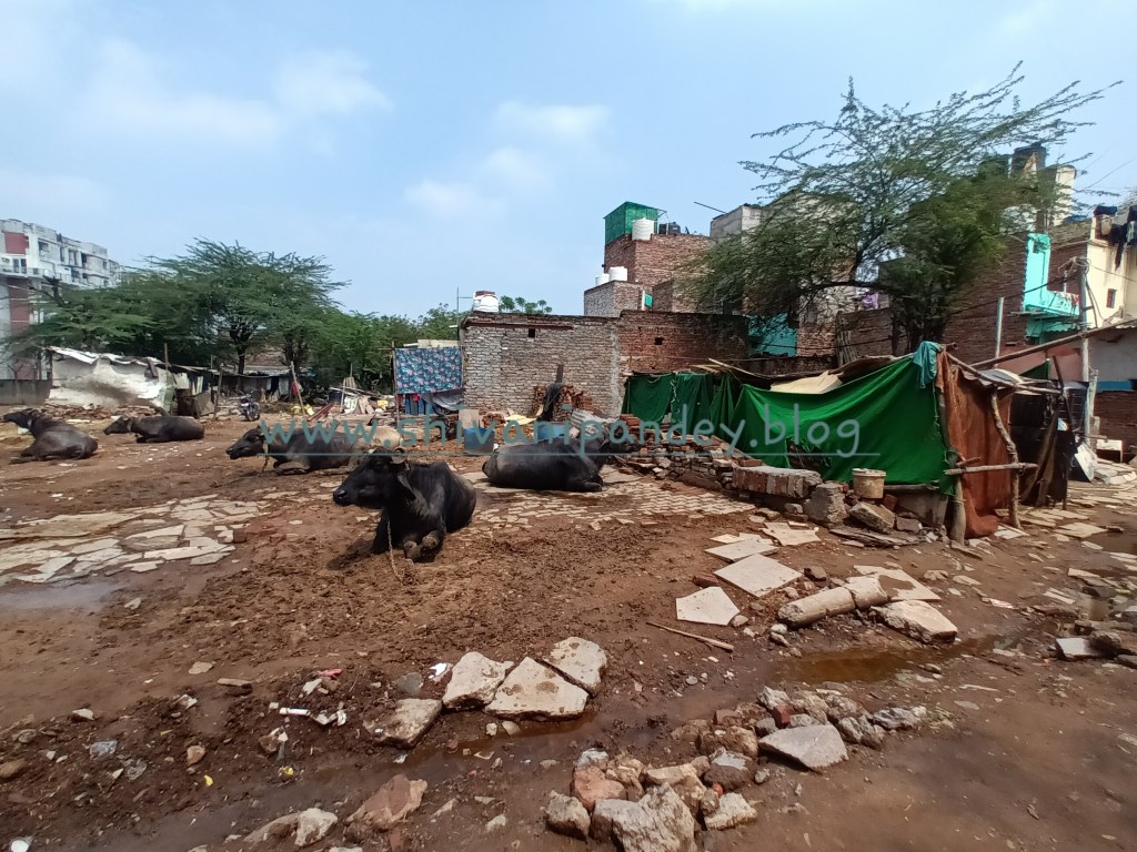 Rural recce! Visual treats before&nbsp;filming!